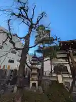 妙清寺(東京都)