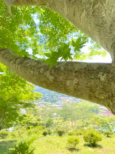 正一位 若草稲荷神社の景色