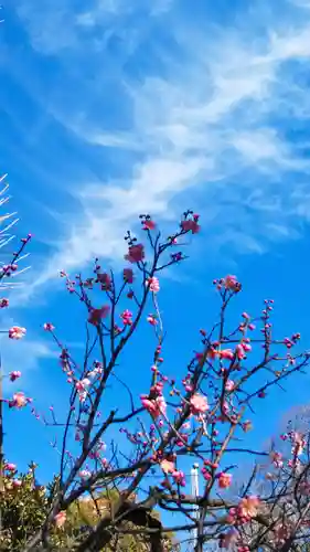 五條天神社の自然