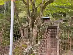 粟島神社(兵庫県)