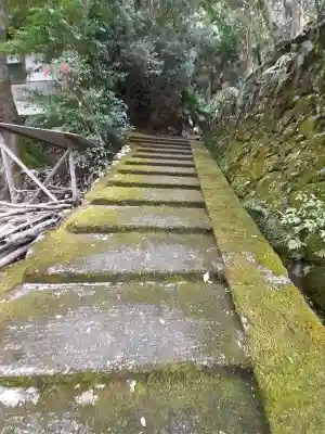 薬師寺の{uncategorized: "未分類", other: "その他", undefined: "問題あり", building: "その他建物", grave: "お墓", sacred_gate: "鳥居", guardian: "狛犬", statue: "像", buddha: "仏像", history: "歴史", nature: "自然", garden: "庭園", animal: "動物", pagoda: "塔", temizu: "手水舎", mountain_gate: "山門・神門", sanctuary: "本殿・本堂", subordinate: "末社・摂社", art: "芸術", scenery: "景色", jizo: "地蔵", ema: "絵馬", goshuin: "御朱印", omikuji: "おみくじ", items: "授与品その他", amulet: "お守り", goshuincho: "御朱印帳", eats: "食事", festival: "お祭り", votive_dance: "神楽", shichigosan: "七五三参", wedding: "結婚式", experience: "体験その他", initially: "初詣", around: "周辺", anti_infection: "感染症対策"}