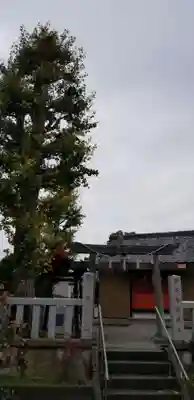 稲荷神社の鳥居