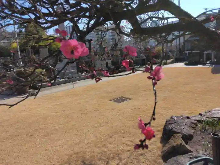 金藏院(神奈川県)