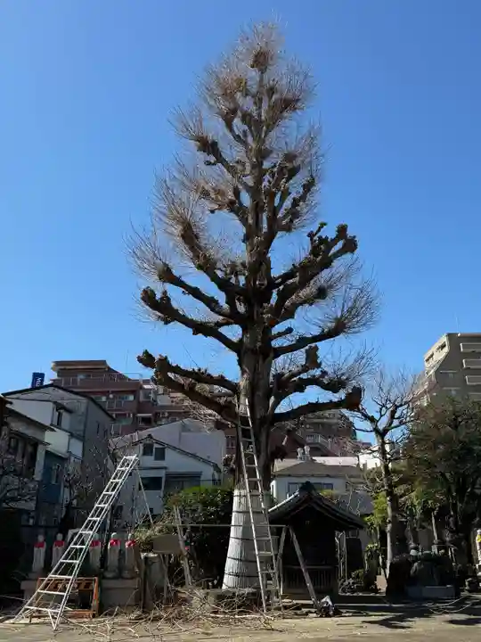 福王山 慈眼寺(東京都)