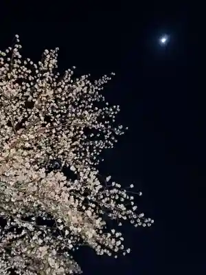 如宝寺(福島県)