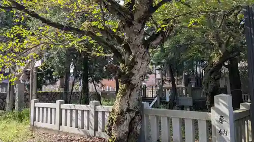 五十橿神社の自然