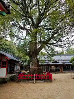 八幡奈多宮(大分県)