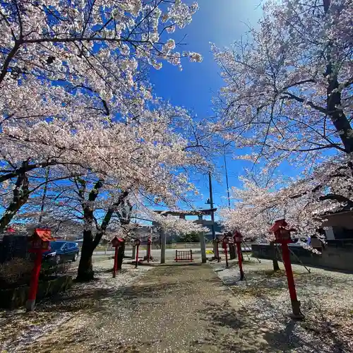 賀茂別雷神社の自然