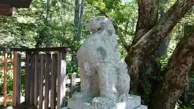 穂高神社奥宮の狛犬