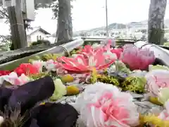 立志神社の手水