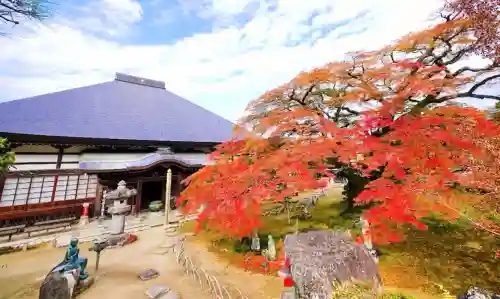 西善寺の{uncategorized: "未分類", other: "その他", undefined: "問題あり", building: "その他建物", grave: "お墓", sacred_gate: "鳥居", guardian: "狛犬", statue: "像", buddha: "仏像", history: "歴史", nature: "自然", garden: "庭園", animal: "動物", pagoda: "塔", temizu: "手水舎", mountain_gate: "山門・神門", sanctuary: "本殿・本堂", subordinate: "末社・摂社", art: "芸術", scenery: "景色", jizo: "地蔵", ema: "絵馬", goshuin: "御朱印", omikuji: "おみくじ", items: "授与品その他", amulet: "お守り", goshuincho: "御朱印帳", eats: "食事", festival: "お祭り", votive_dance: "神楽", shichigosan: "七五三参", wedding: "結婚式", experience: "体験その他", initially: "初詣", around: "周辺", anti_infection: "感染症対策"}