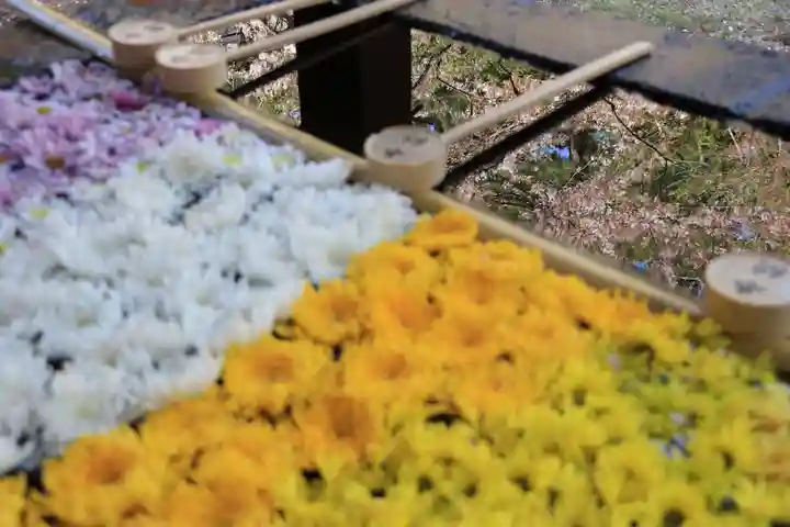 土津神社|こどもと出世の神さまの手水舎