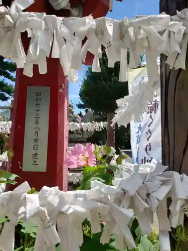 鷺宮八幡神社のおみくじ