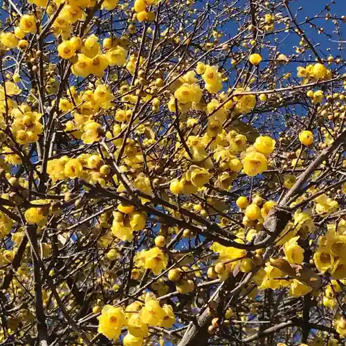 横浜　西方寺の自然