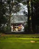 結城諏訪神社(茨城県)