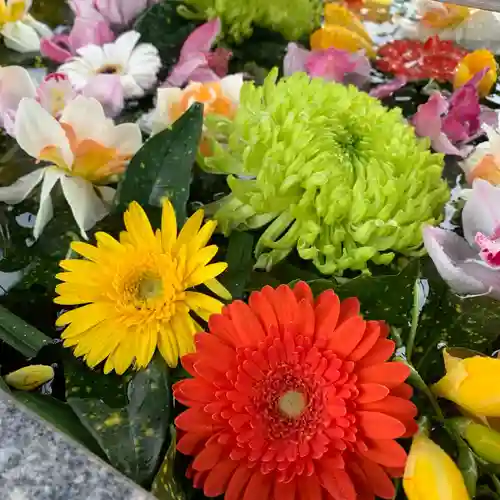 豊景神社の手水舎
