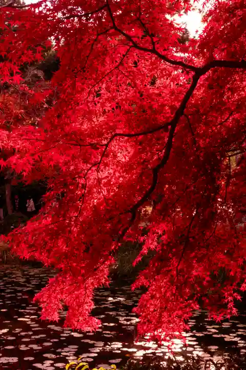 大原野神社(京都府)