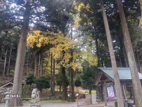 天日陰比咩神社(石川県)