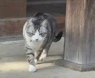 正覚院(京都府)