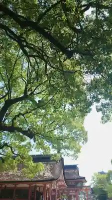津島神社のその他建物