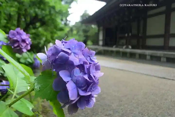 円覚寺(神奈川県)