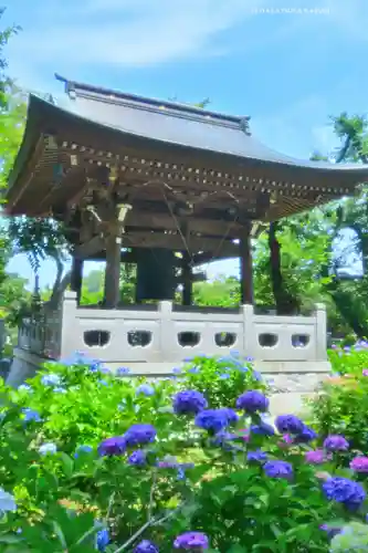 妙楽寺(神奈川県)