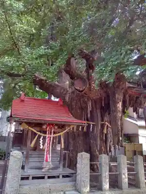 宮城野八幡神社(宮城県)