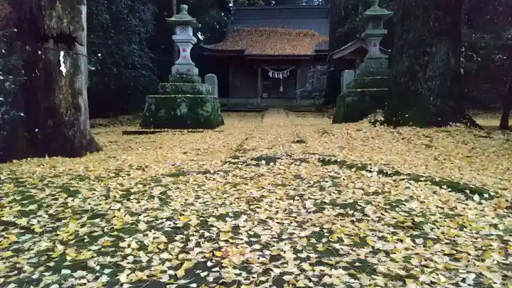 子安神社(茨城県)