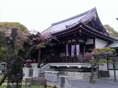 輪王寺両大師堂(寛永寺輪王殿)の{uncategorized: "未分類", other: "その他", undefined: "問題あり", building: "その他建物", grave: "お墓", sacred_gate: "鳥居", guardian: "狛犬", statue: "像", buddha: "仏像", history: "歴史", nature: "自然", garden: "庭園", animal: "動物", pagoda: "塔", temizu: "手水舎", mountain_gate: "山門・神門", sanctuary: "本殿・本堂", subordinate: "末社・摂社", art: "芸術", scenery: "景色", jizo: "地蔵", ema: "絵馬", goshuin: "御朱印", omikuji: "おみくじ", items: "授与品その他", amulet: "お守り", goshuincho: "御朱印帳", eats: "食事", festival: "お祭り", votive_dance: "神楽", shichigosan: "七五三参", wedding: "結婚式", experience: "体験その他", initially: "初詣", around: "周辺", anti_infection: "感染症対策"}