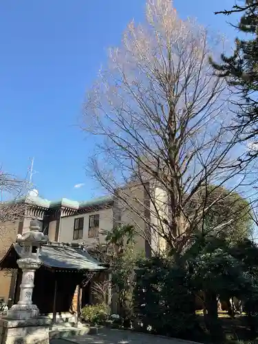 玉泉寺のその他建物