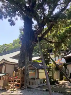 極楽寺(徳島県)