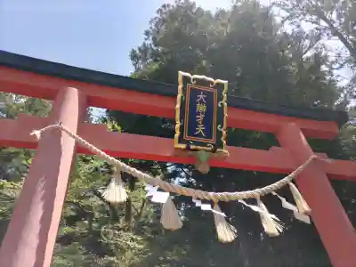 天河大辨財天社の{uncategorized: "未分類", other: "その他", undefined: "問題あり", building: "その他建物", grave: "お墓", sacred_gate: "鳥居", guardian: "狛犬", statue: "像", buddha: "仏像", history: "歴史", nature: "自然", garden: "庭園", animal: "動物", pagoda: "塔", temizu: "手水舎", mountain_gate: "山門・神門", sanctuary: "本殿・本堂", subordinate: "末社・摂社", art: "芸術", scenery: "景色", jizo: "地蔵", ema: "絵馬", goshuin: "御朱印", omikuji: "おみくじ", items: "授与品その他", amulet: "お守り", goshuincho: "御朱印帳", eats: "食事", festival: "お祭り", votive_dance: "神楽", shichigosan: "七五三参", wedding: "結婚式", experience: "体験その他", initially: "初詣", around: "周辺", anti_infection: "感染症対策"}