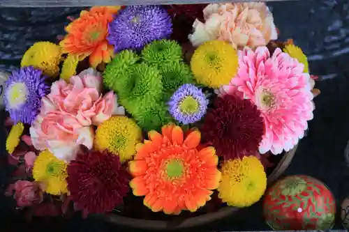 豊景神社の手水舎