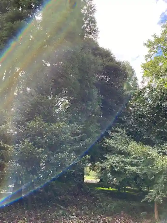 小鴨神社の自然