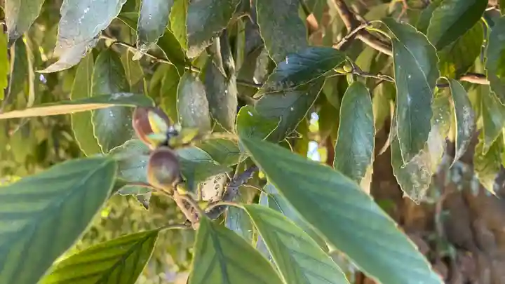 総願寺(埼玉県)