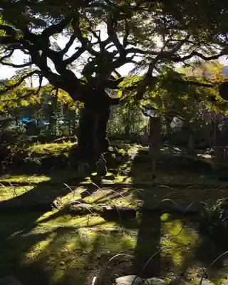 西善寺(埼玉県)