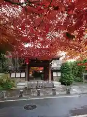 高円寺の建物その他