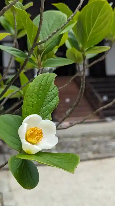 真正極楽寺(真如堂)(京都府)