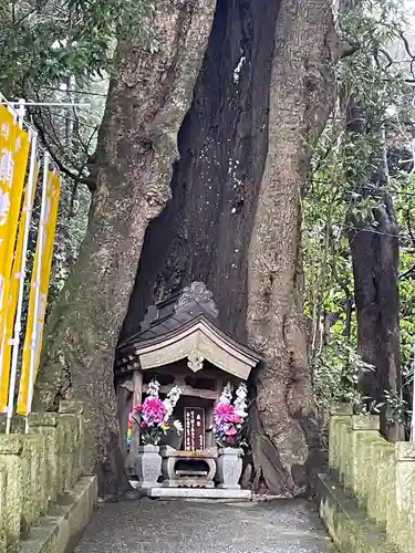 宝城坊(神奈川県)