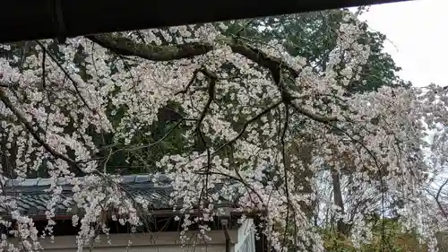 十輪寺(京都府)