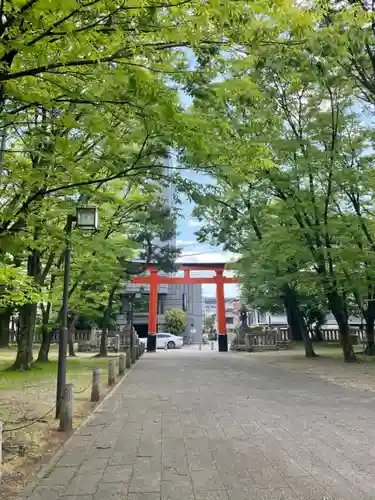 伏見稲荷大社 御旅所の鳥居