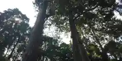 柚井宇賀神社の建物その他