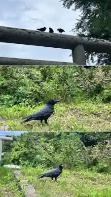 山上大神宮(北海道)