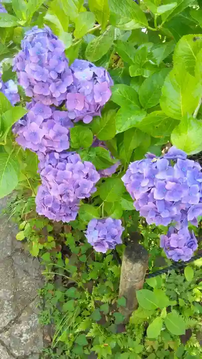 東慶寺(神奈川県)