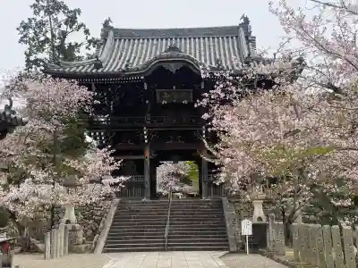 粉河寺の{uncategorized: "未分類", other: "その他", undefined: "問題あり", building: "その他建物", grave: "お墓", sacred_gate: "鳥居", guardian: "狛犬", statue: "像", buddha: "仏像", history: "歴史", nature: "自然", garden: "庭園", animal: "動物", pagoda: "塔", temizu: "手水舎", mountain_gate: "山門・神門", sanctuary: "本殿・本堂", subordinate: "末社・摂社", art: "芸術", scenery: "景色", jizo: "地蔵", ema: "絵馬", goshuin: "御朱印", omikuji: "おみくじ", items: "授与品その他", amulet: "お守り", goshuincho: "御朱印帳", eats: "食事", festival: "お祭り", votive_dance: "神楽", shichigosan: "七五三参", wedding: "結婚式", experience: "体験その他", initially: "初詣", around: "周辺", anti_infection: "感染症対策"}