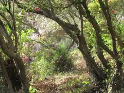 正福寺別当米山薬師堂(埼玉県)