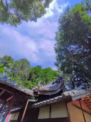 八幡社（山尻町）の本殿・本堂