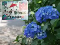 賀茂別雷神社の自然