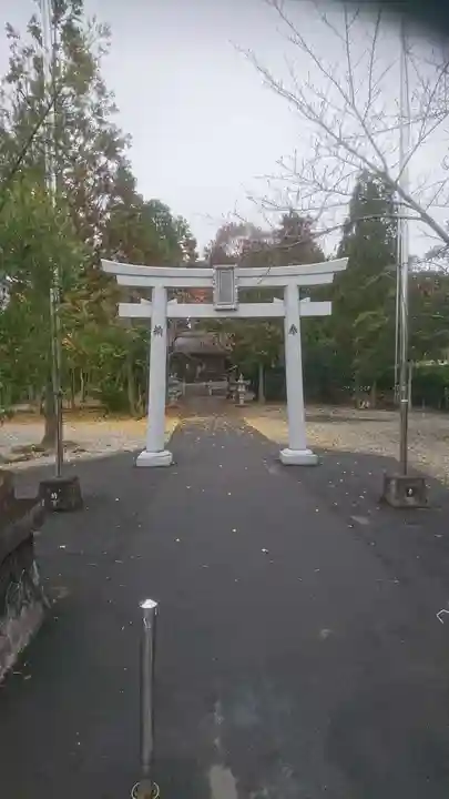 杵築神社の鳥居