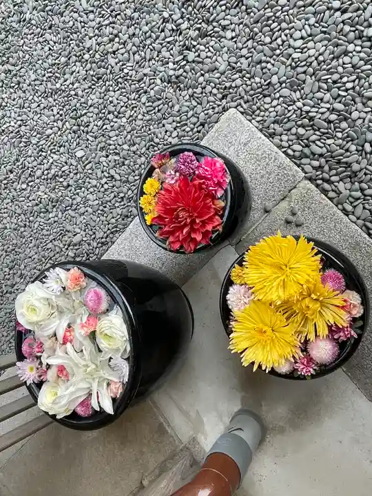 菅生神社の手水舎